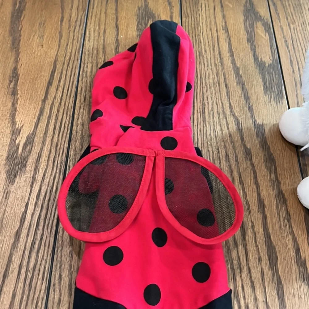 Red  and black butterfly costume 🐶💙